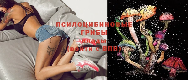 дживик Алзамай
