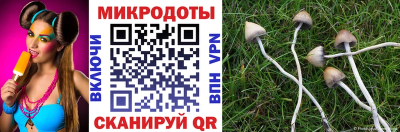 как найти закладки  Асино  МЕГА зеркало  Галлюциногенные грибы Psilocybine cubensis 